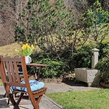 Apartment Alpenliebe Montafon *