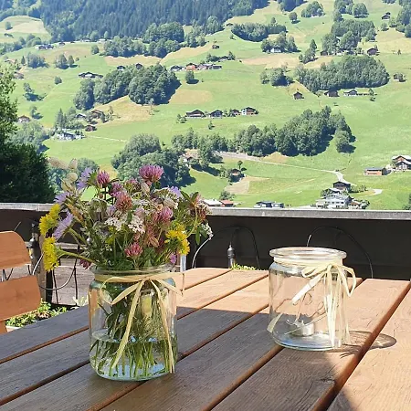 Appartement Alpenliebe Montafon Silbertal