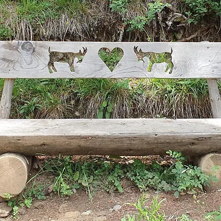 Alpenliebe Montafon דירה סילברטל