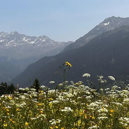 Alpenliebe Montafon * סילברטל