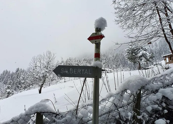 Apartment Alpenliebe Montafon *