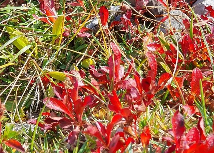 Alpenliebe Montafon Apartment Silbertal